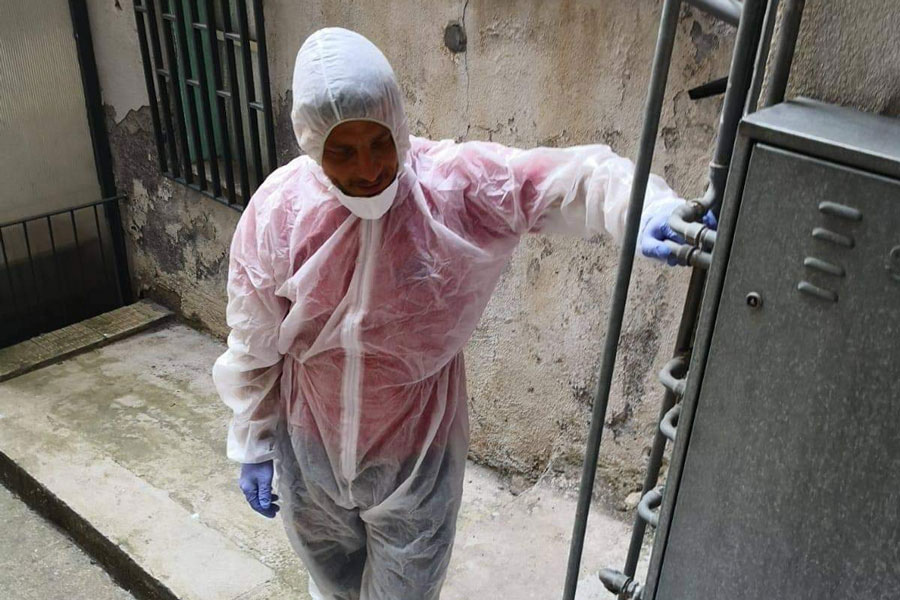 Derattizzazione e disinfestazione